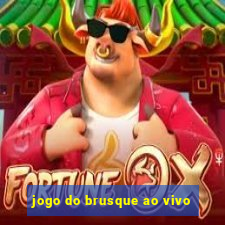 jogo do brusque ao vivo