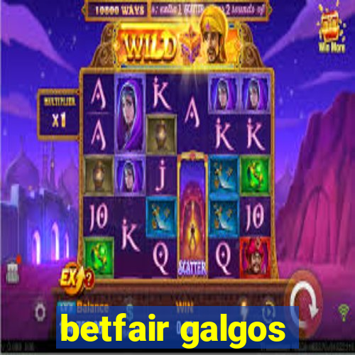 betfair galgos