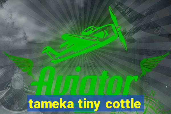 tameka tiny cottle