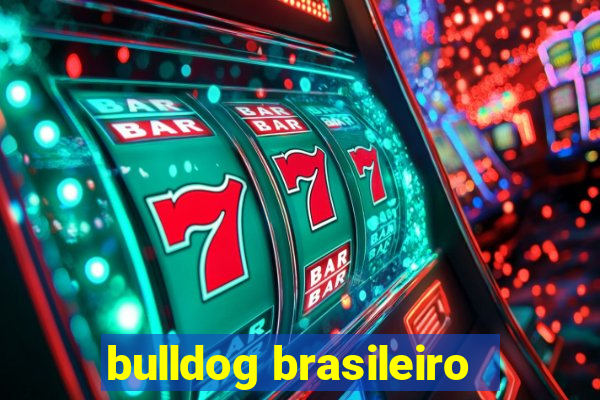 bulldog brasileiro