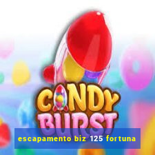 escapamento biz 125 fortuna