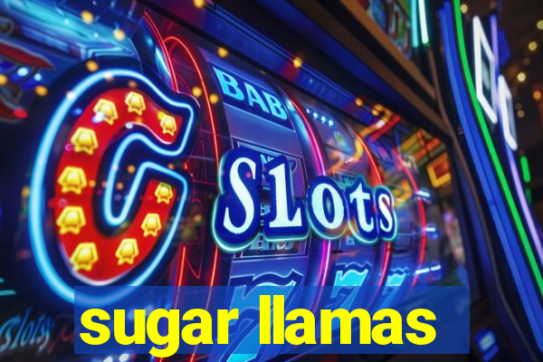 sugar llamas