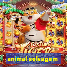 animal selvagem