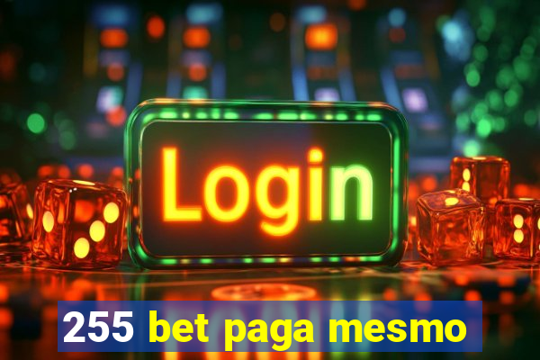 255 bet paga mesmo