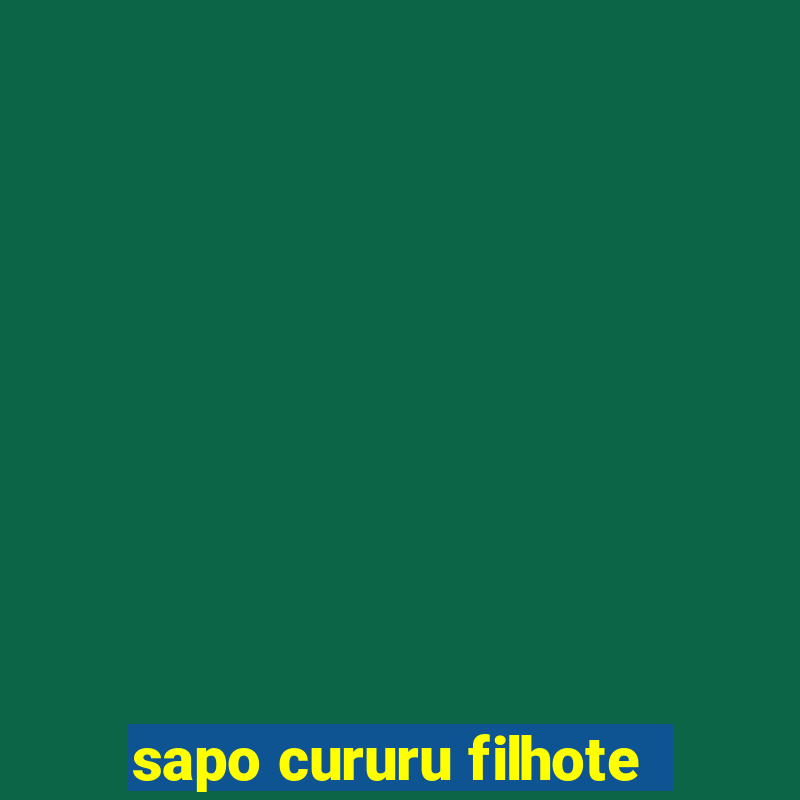 sapo cururu filhote