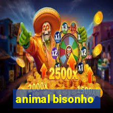 animal bisonho