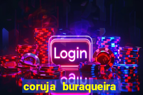 coruja buraqueira é perigosa