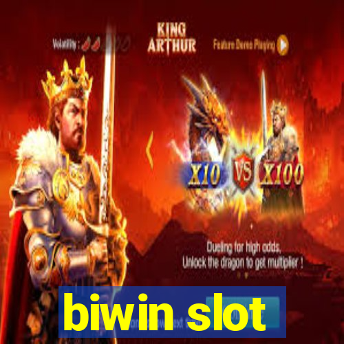 biwin slot