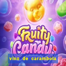 vino de carambola stardew valley