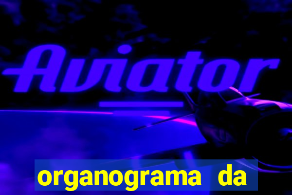 organograma da cacau show