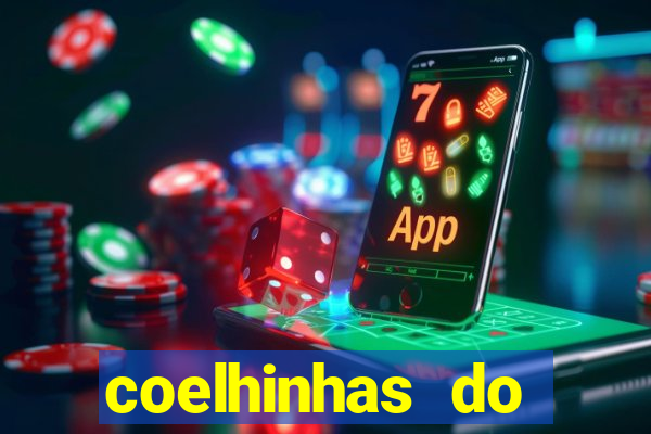 coelhinhas do brasil acompanhantes