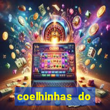 coelhinhas do brasil jp