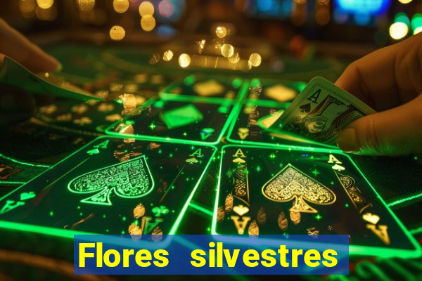 Flores silvestres brasileiras 25