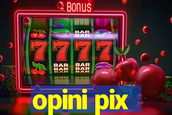 opini pix