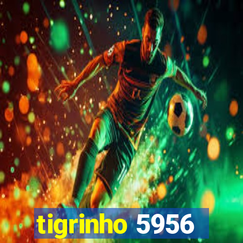 tigrinho 5956