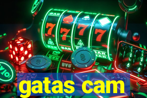 gatas cam