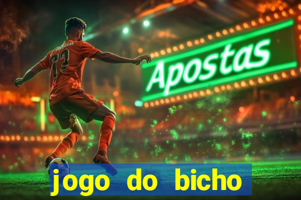 jogo do bicho banca ouro verde