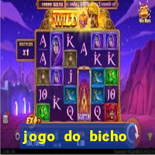 jogo do bicho tipos de apostas