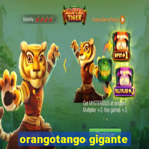 orangotango gigante