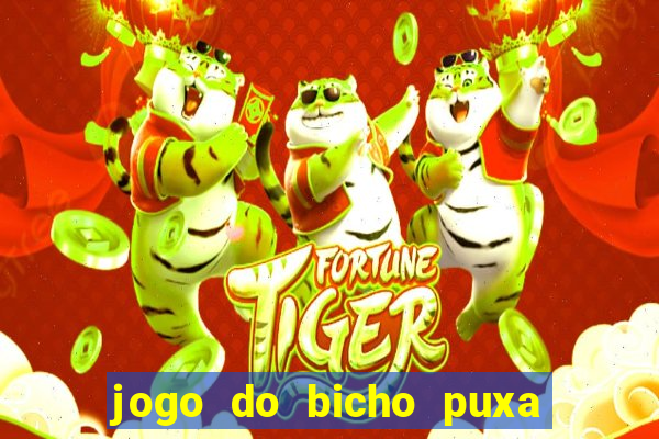 jogo do bicho puxa de dona maria