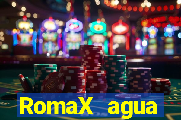 RomaX agua sanitaria fispq agua sanitaria romax