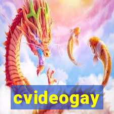 cvideogay