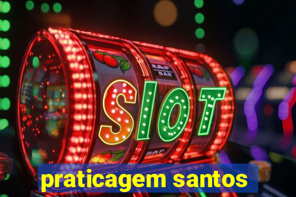 praticagem santos