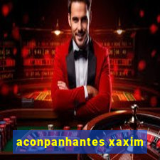 aconpanhantes xaxim