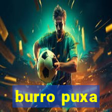 burro puxa