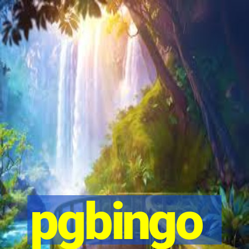 pgbingo