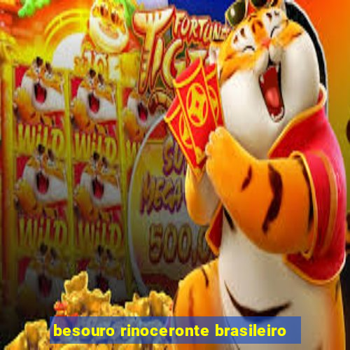 besouro rinoceronte brasileiro