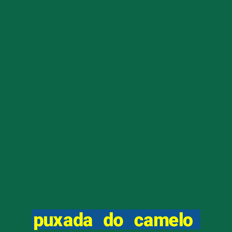 puxada do camelo no jogo do bicho