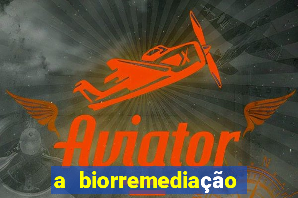 a biorremediação é uma tecnologia sustentável?