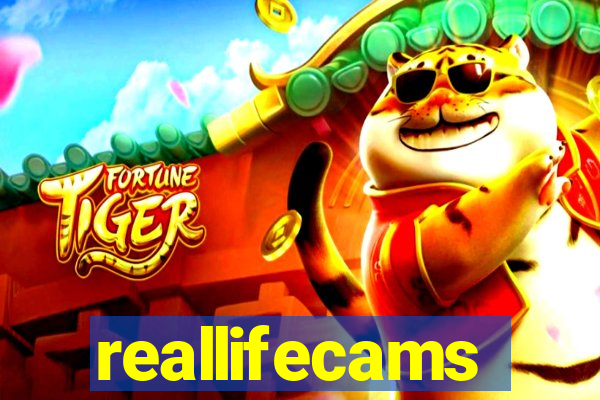 reallifecams