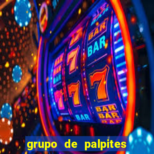 grupo de palpites de futebol telegram