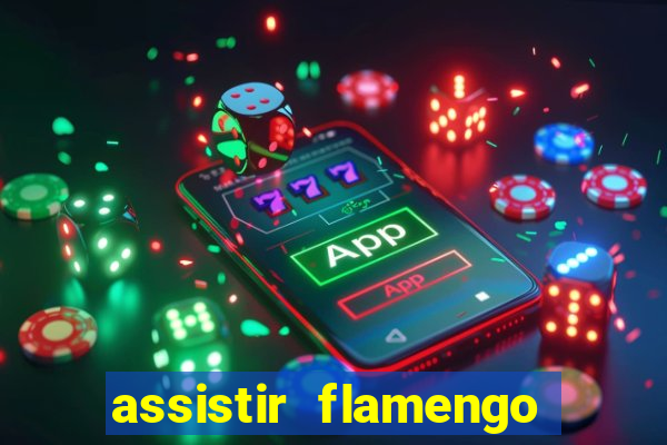 assistir flamengo futebol play hd