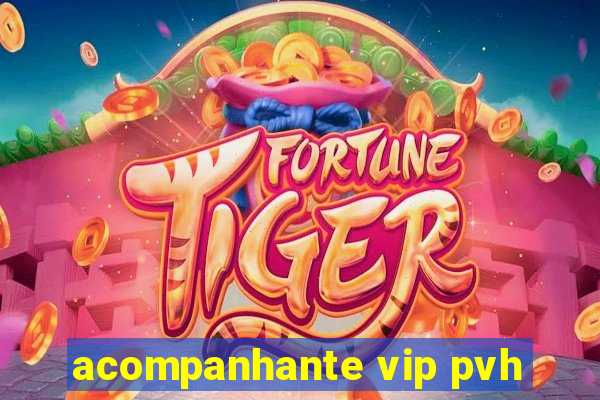 acompanhante vip pvh