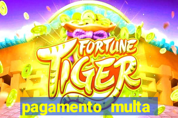 pagamento multa detran mg