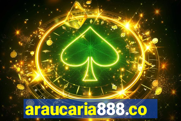 araucaria888.com