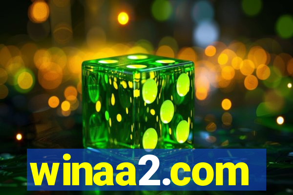 winaa2.com