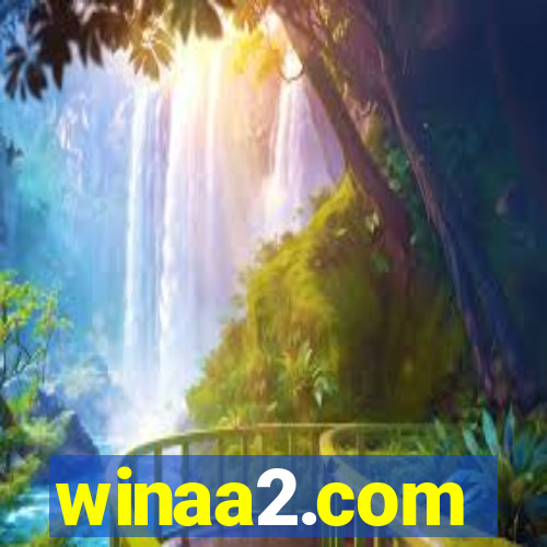 winaa2.com