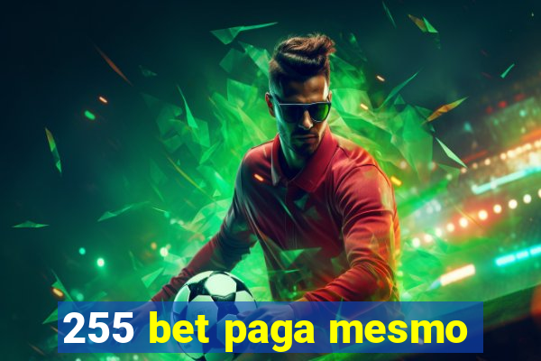 255 bet paga mesmo