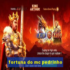 fortuna do mc pedrinho