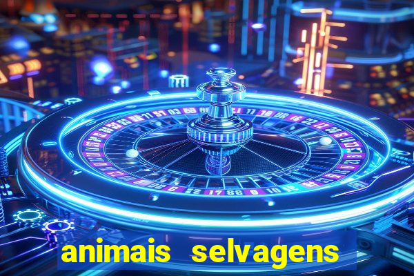 animais selvagens fotos e nomes