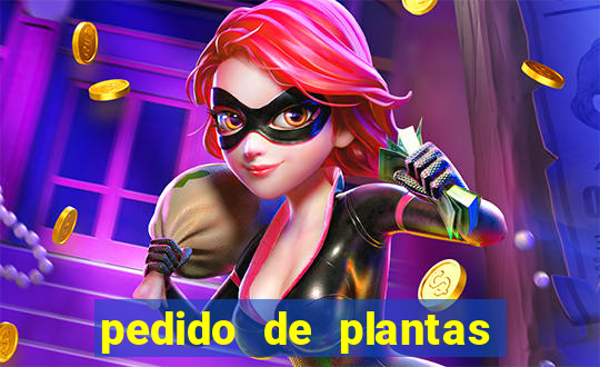 pedido de plantas stardew valley onde entregar pedido de plantas