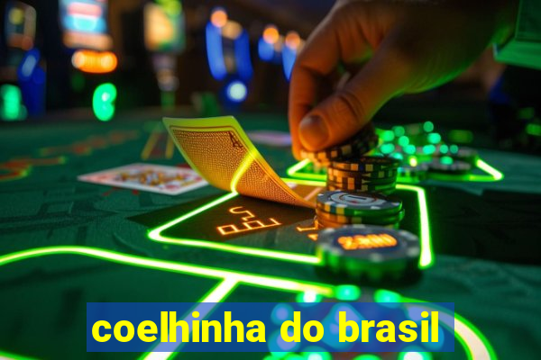 coelhinha do brasil