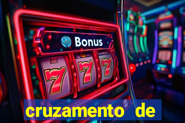 cruzamento de cavalo com mula
