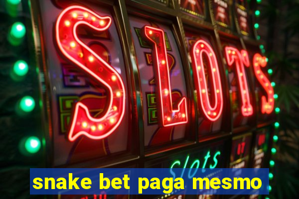 snake bet paga mesmo