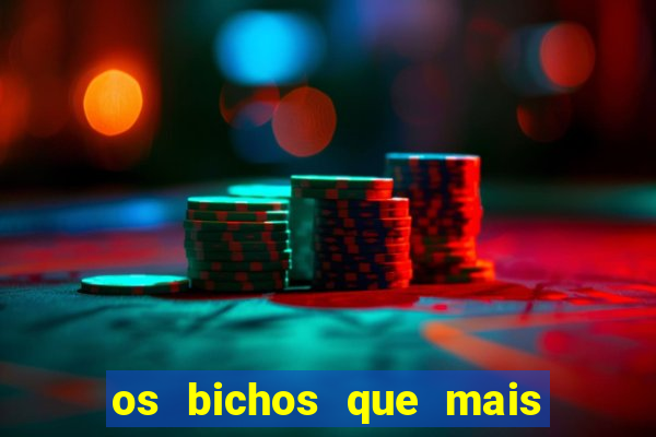 os bichos que mais saem na loteria federal