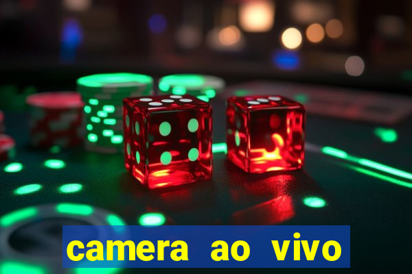 camera ao vivo beto carrero